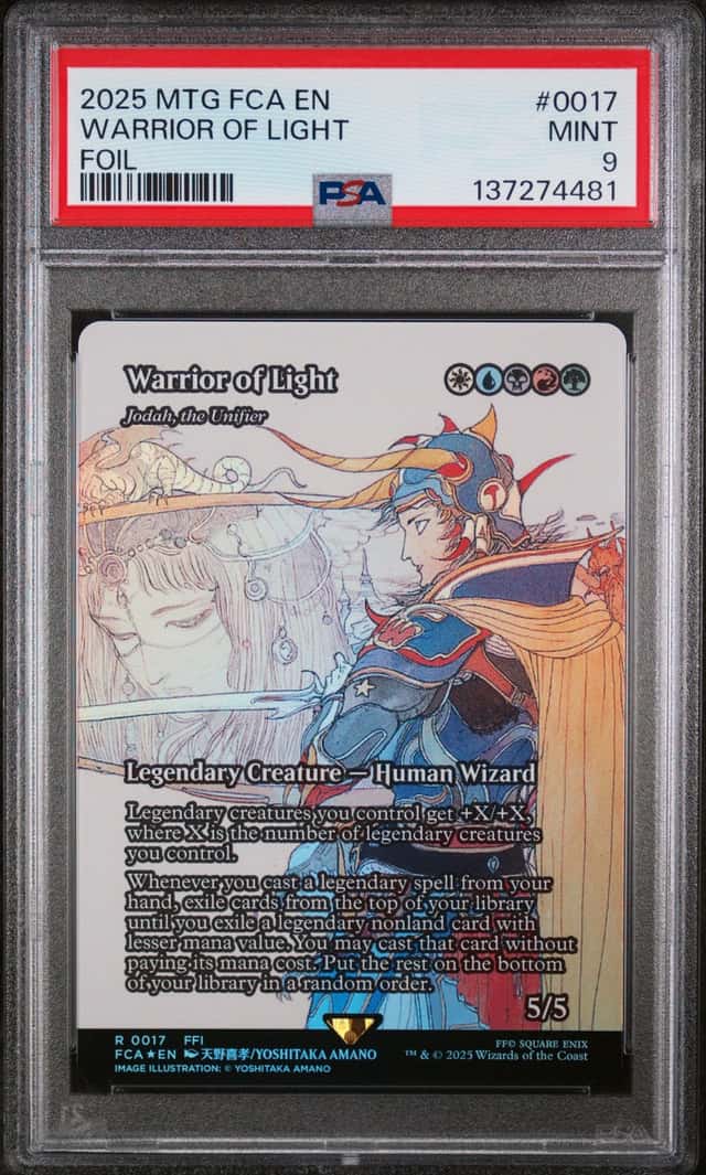 Warrior Of Light