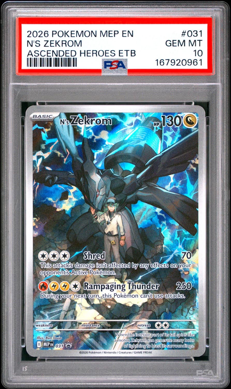 N'S Zekrom