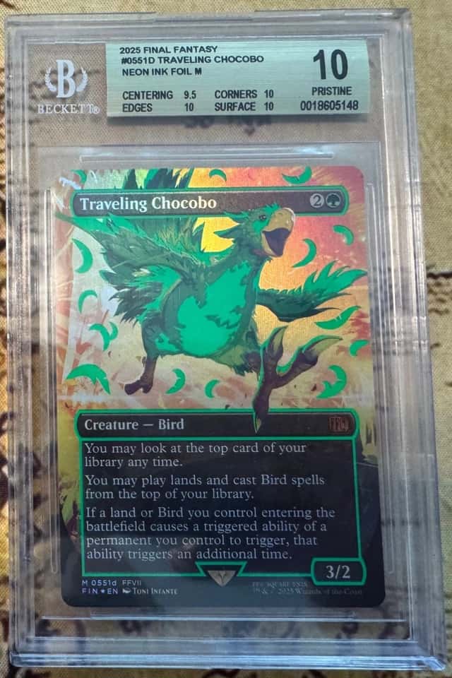 Traveling Chocobo