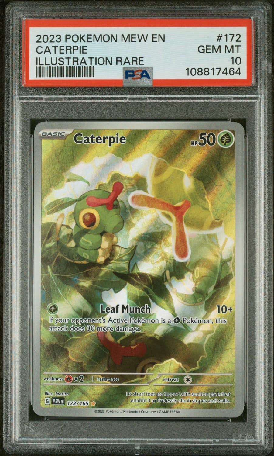 Caterpie