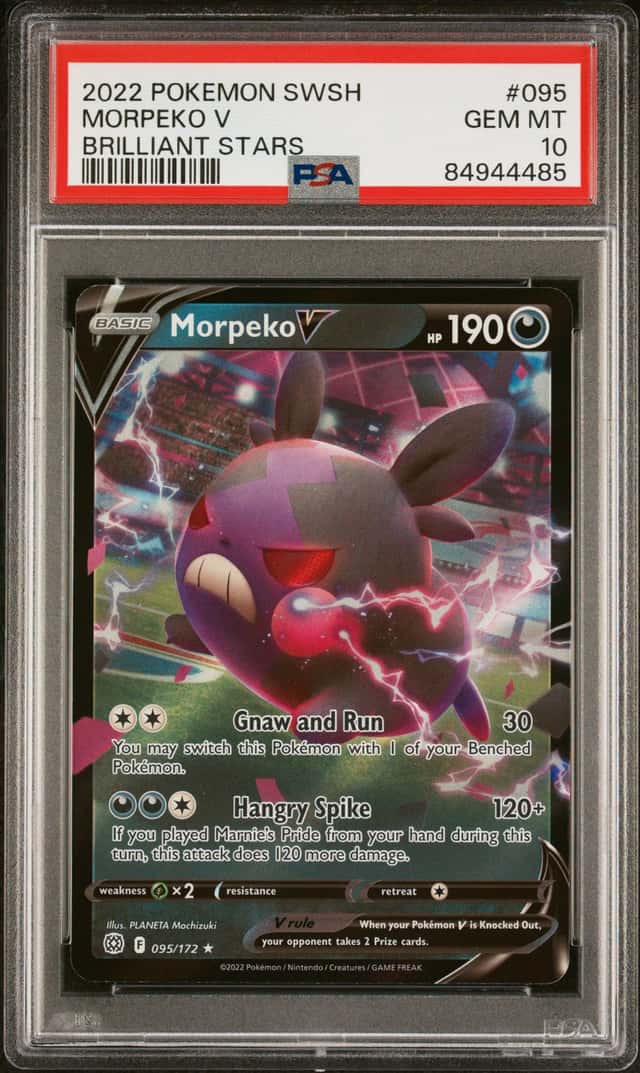 Morpeko V