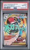 Mega Lucario Ex