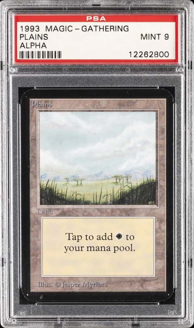Plains