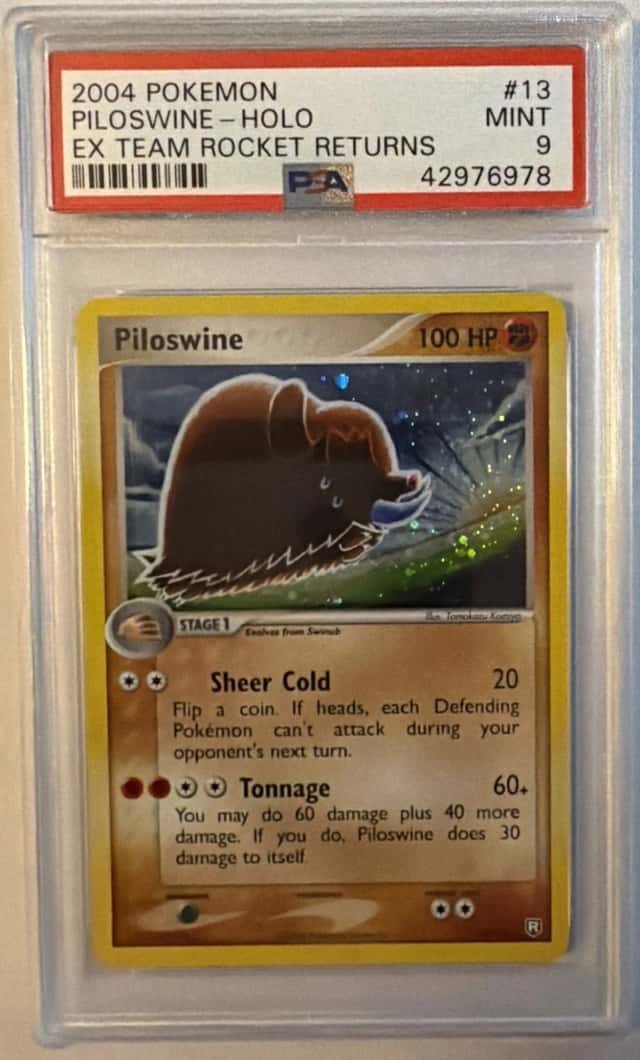 Piloswine