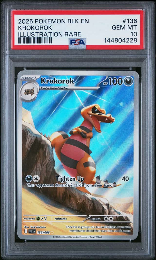 Krokorok