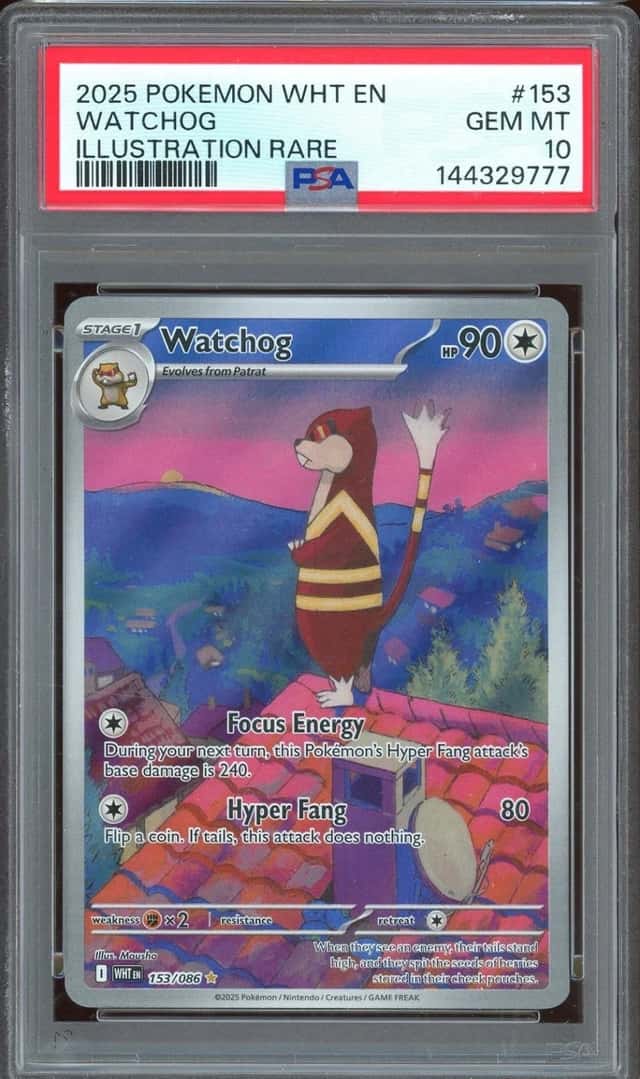 Watchog