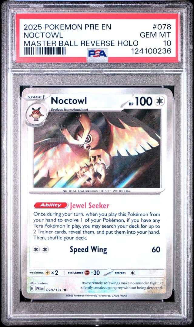 Noctowl