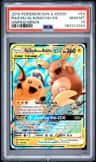 Raichu & Alolan Raichu Gx
