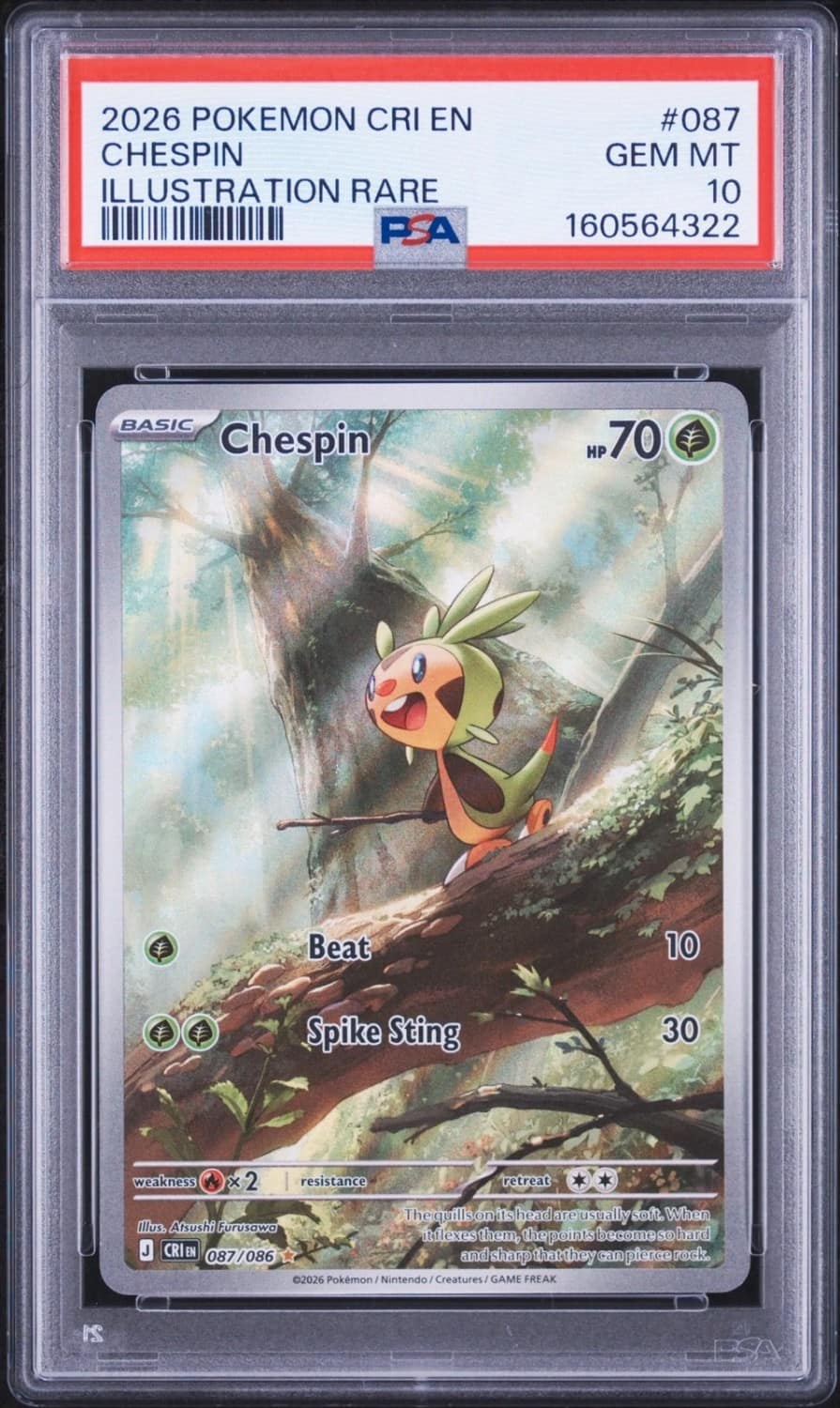Chespin