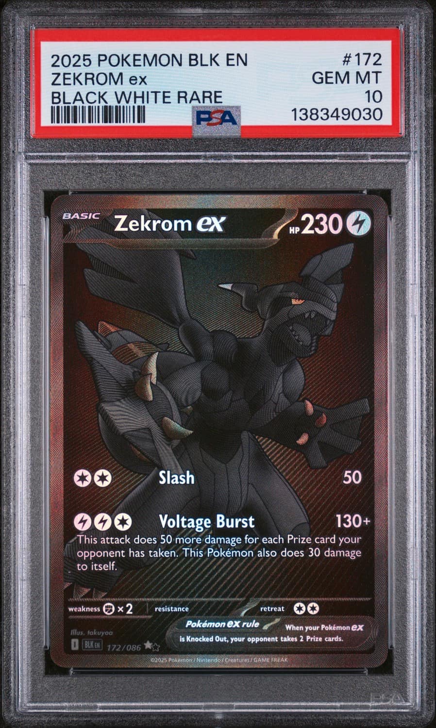 Zekrom Ex