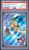 Turtwig