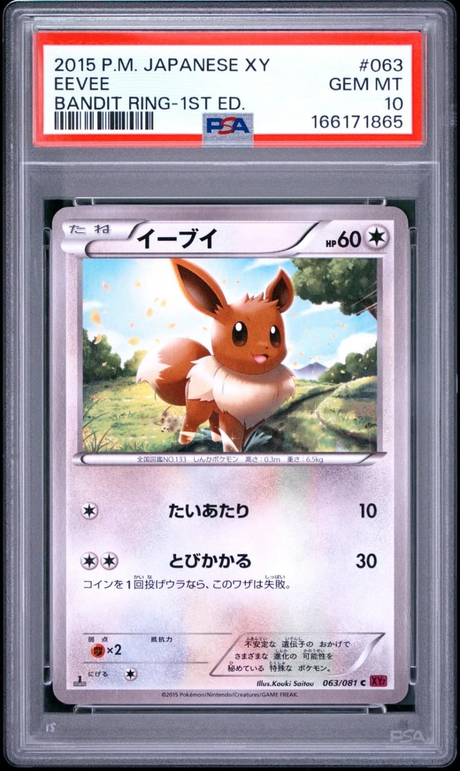 Eevee