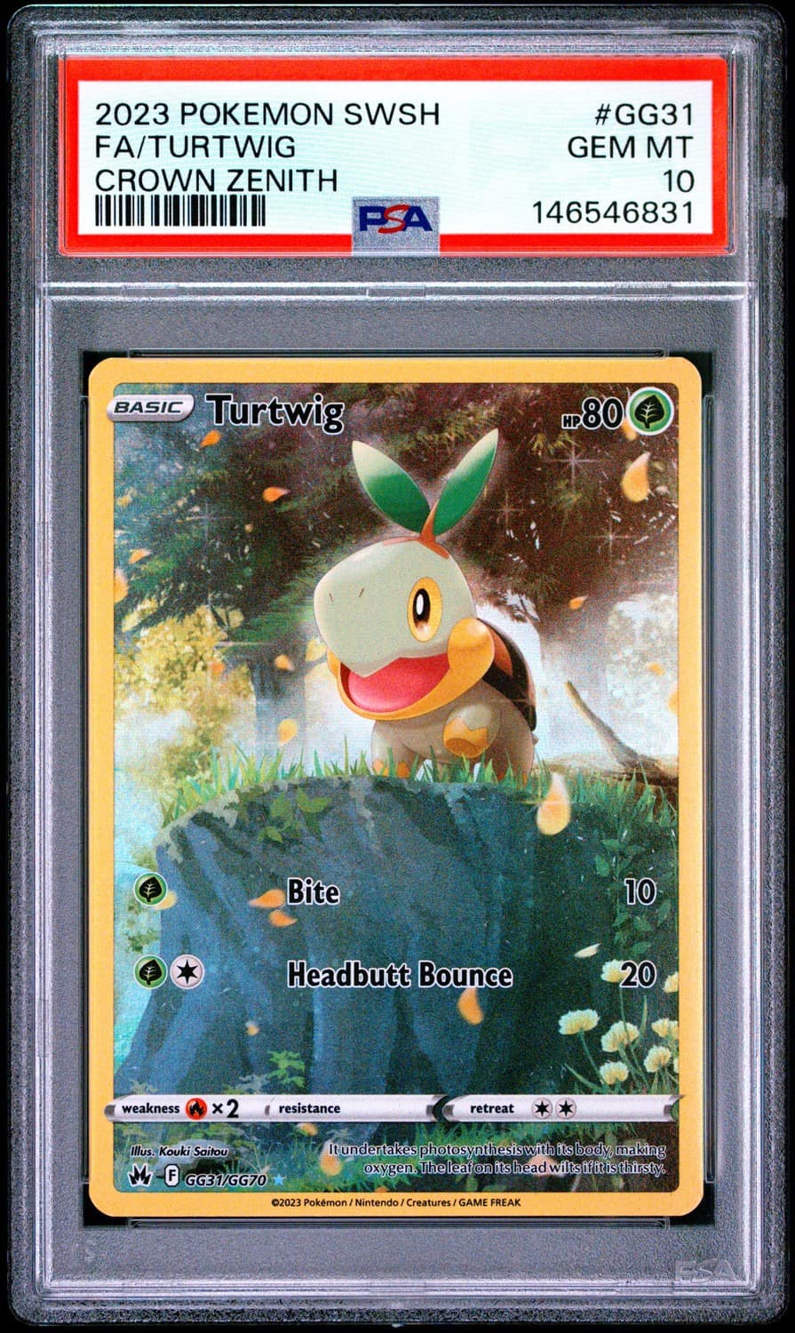 Turtwig