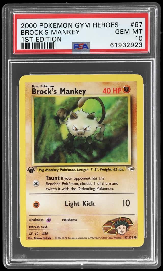 Brock's Mankey