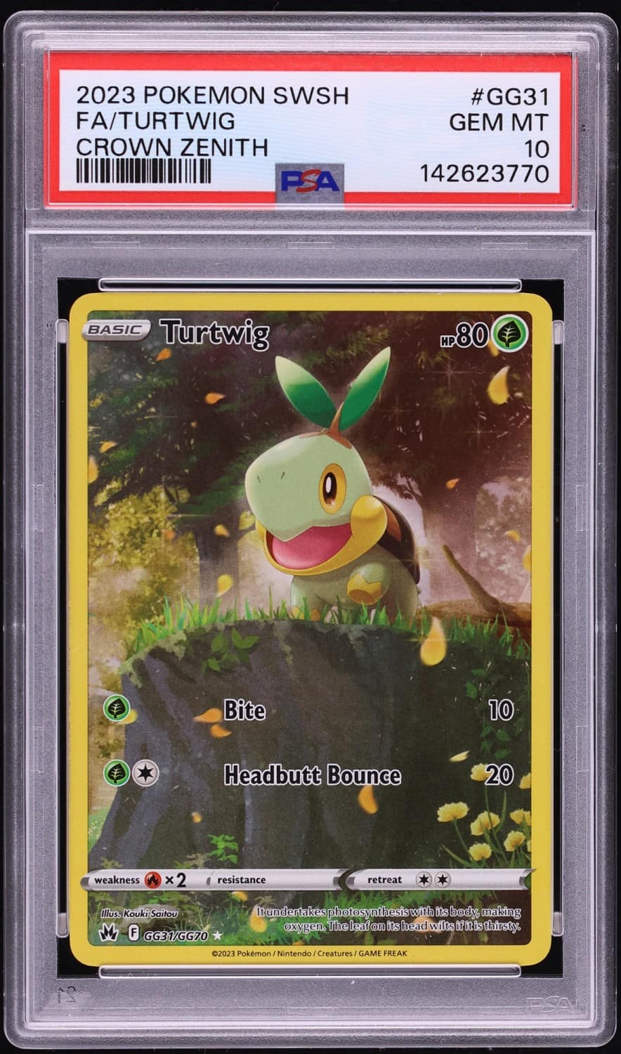 Turtwig