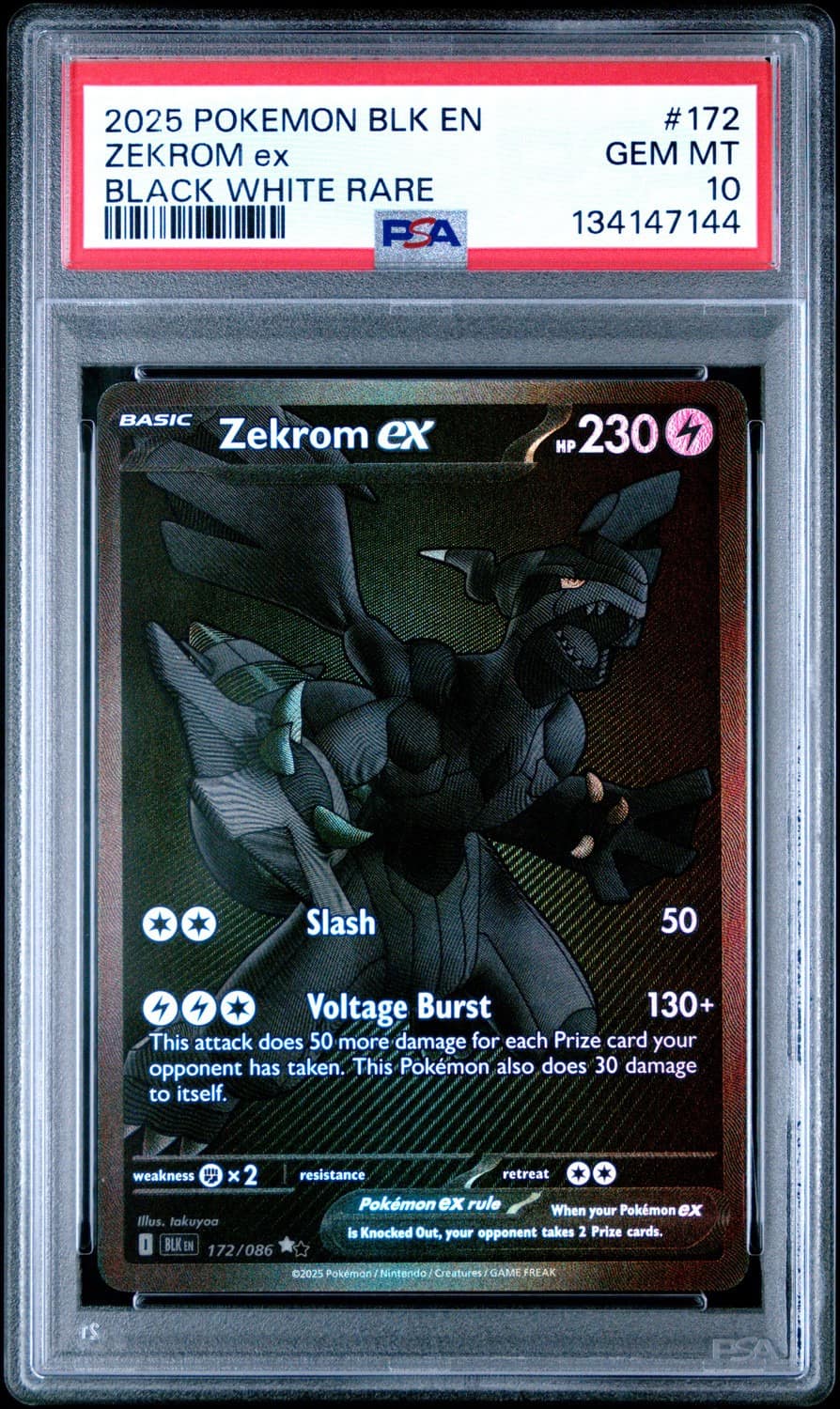Zekrom Ex