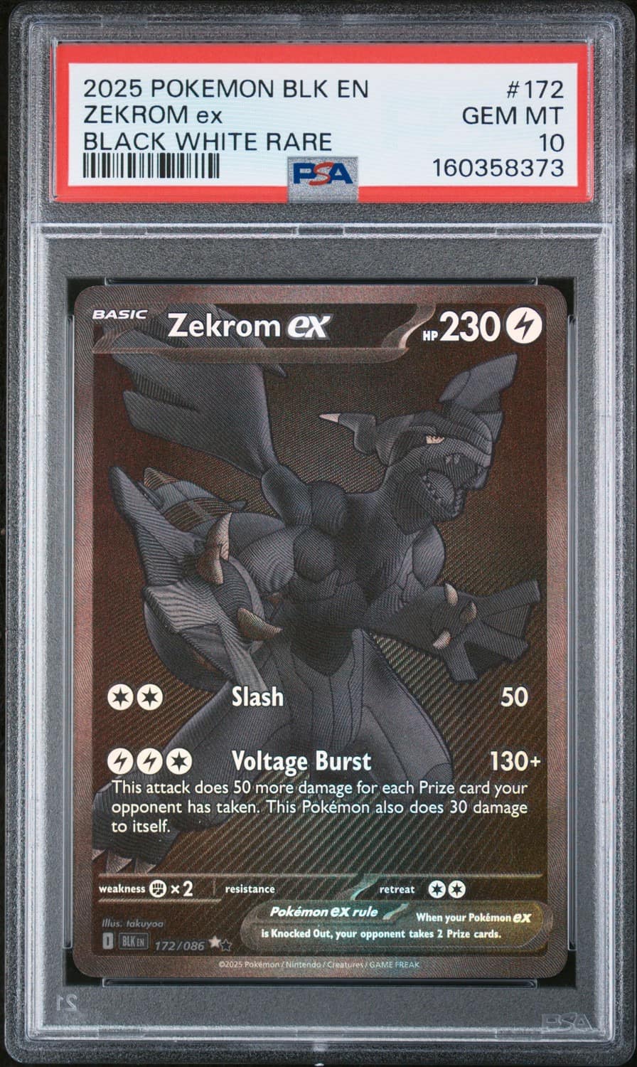 Zekrom Ex