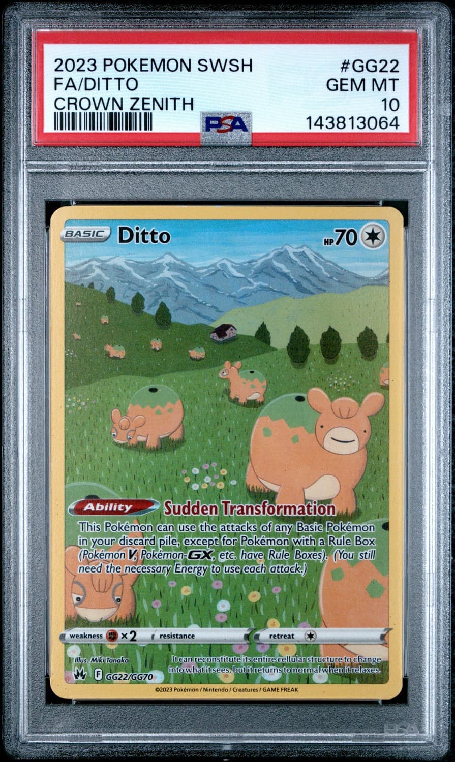 Ditto