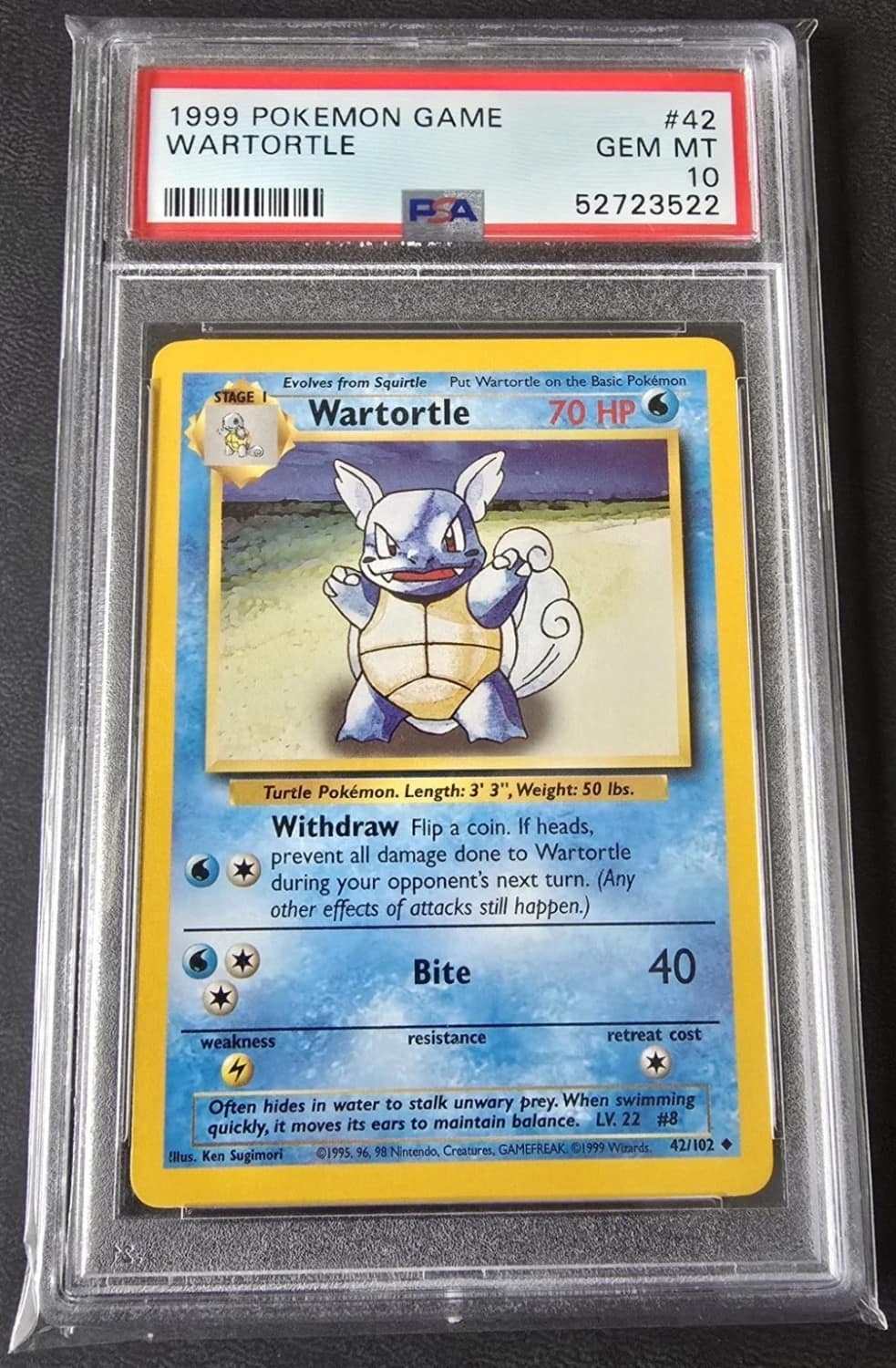 Wartortle