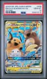Raichu & Alolan Raichu Gx