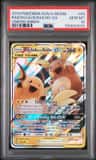 Raichu & Alolan Raichu Gx