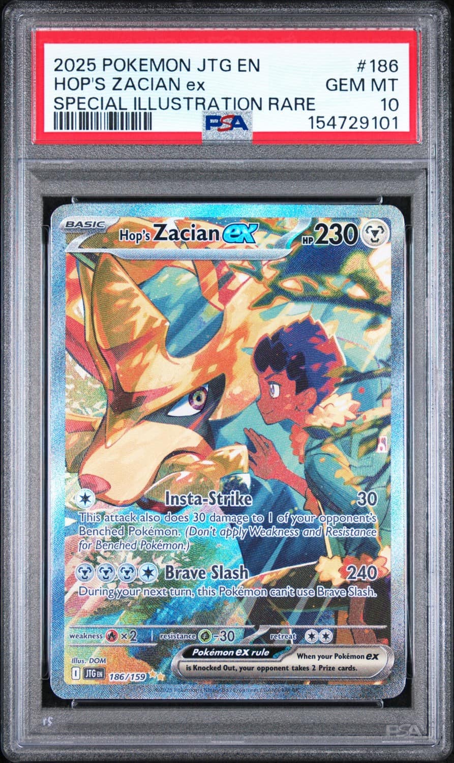 Hop'S Zacian Ex
