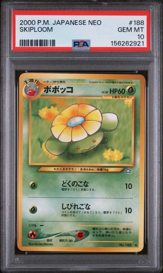 Skiploom