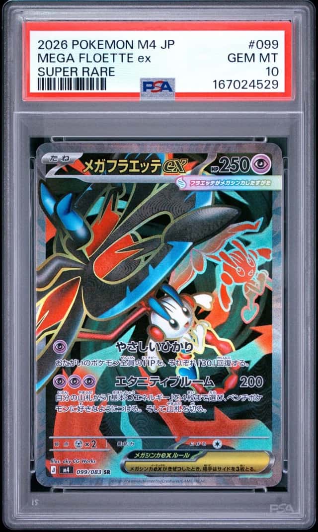 MEGA FLOETTE ex