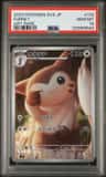 Furret