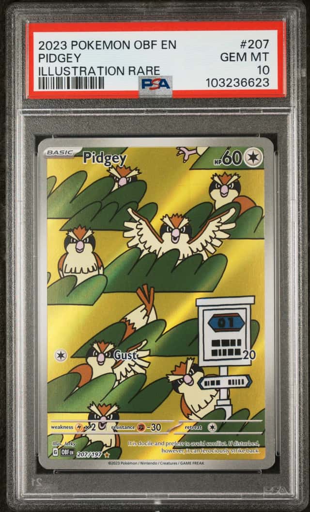 Pidgey