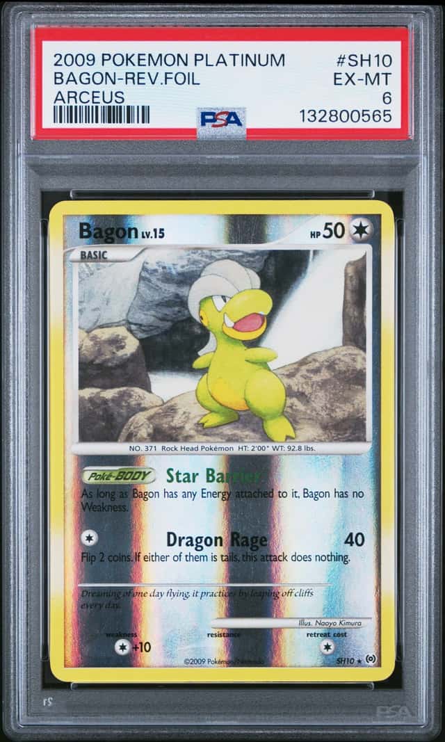 Bagon