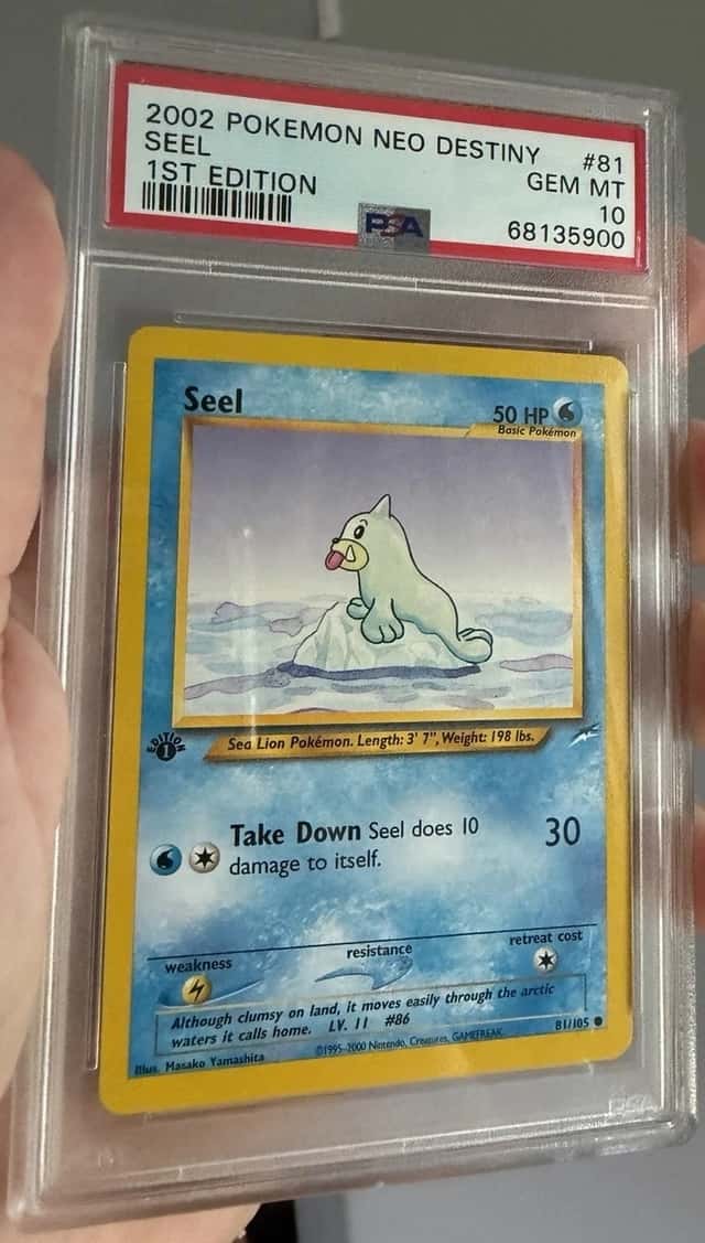 Seel