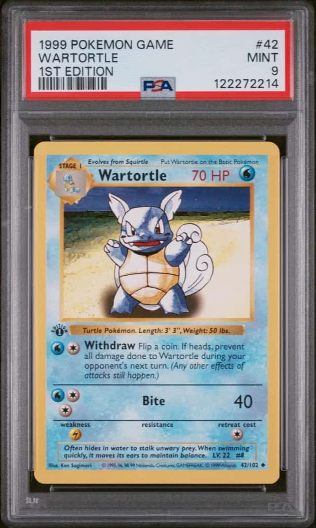 Wartortle