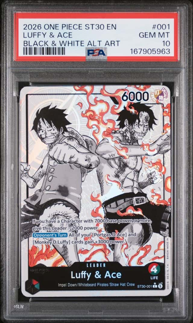 Luffy & Ace