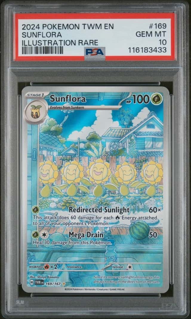 Sunflora