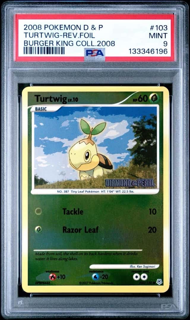 Turtwig