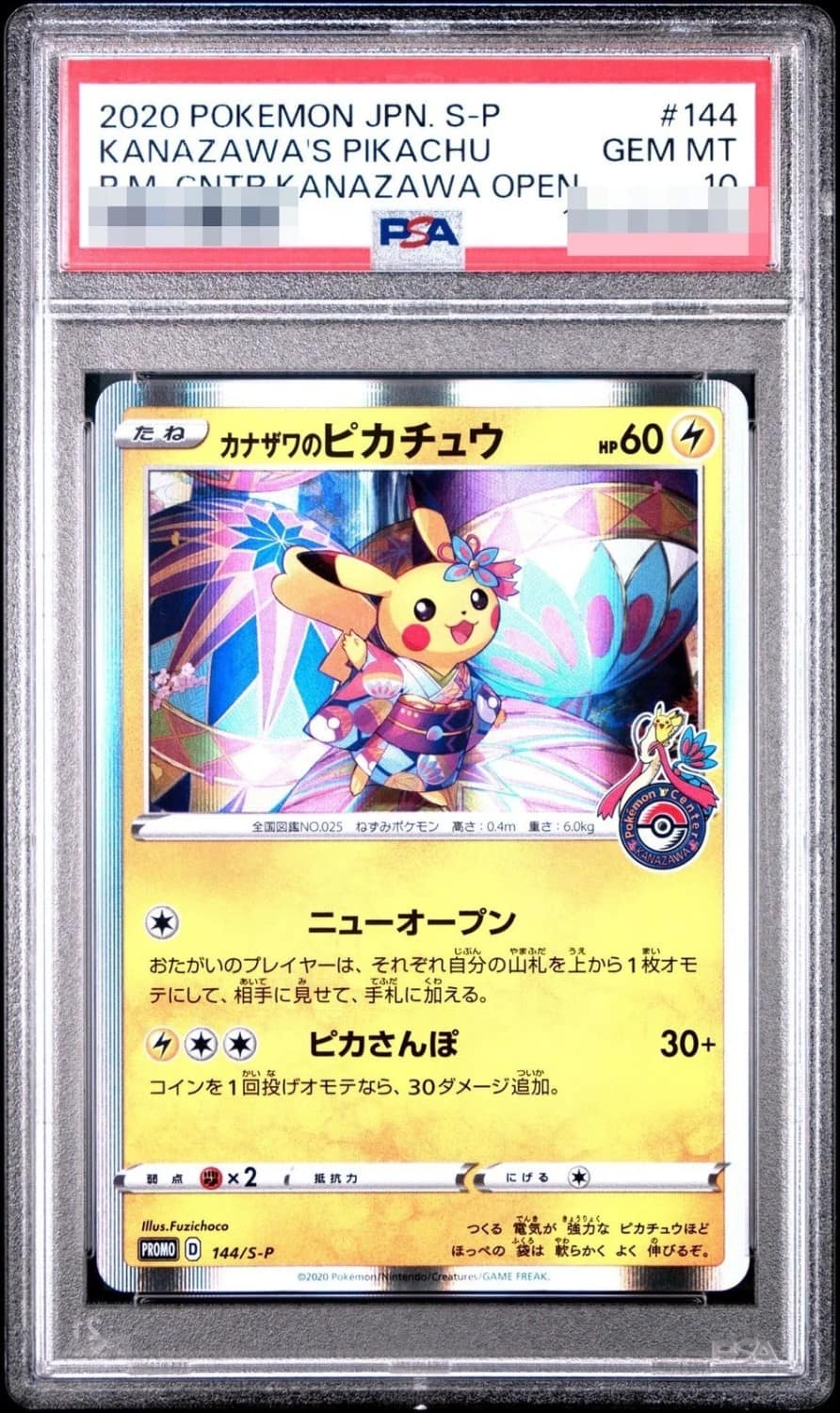 Kanazawa'S Pikachu