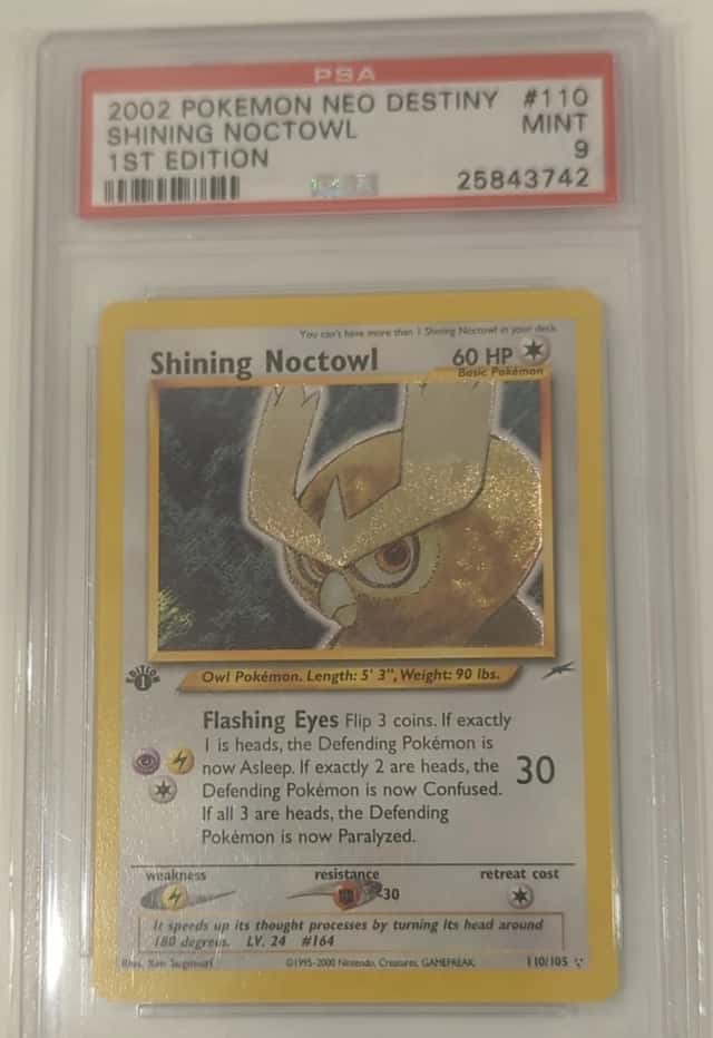 Shining Noctowl