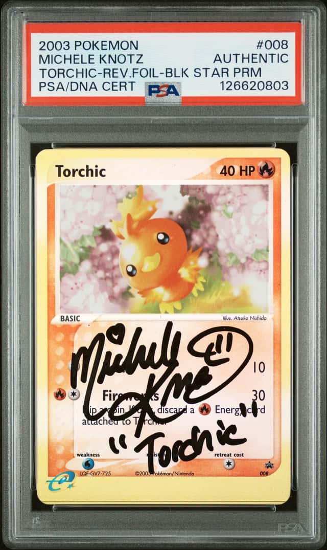 Torchic