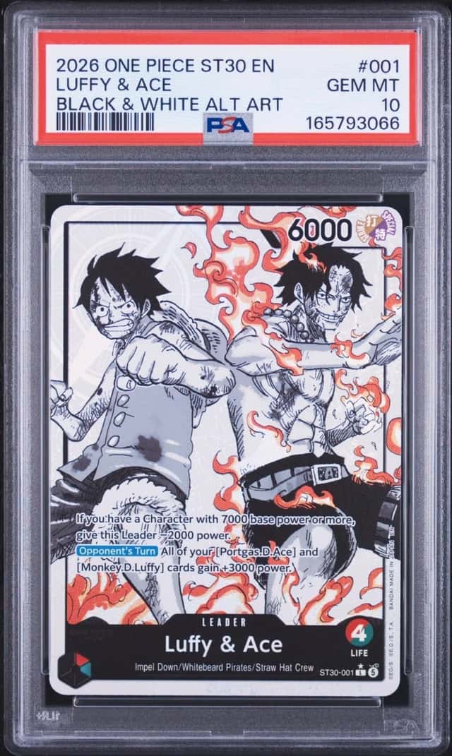 Luffy & Ace
