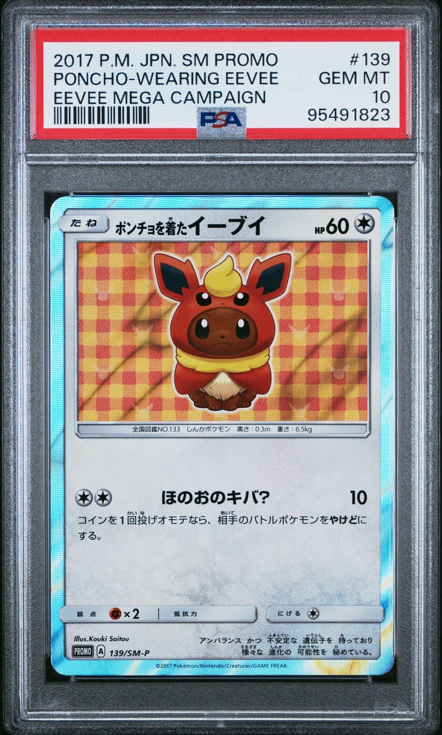 Poncho-Wearing Eevee