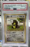 Kangaskhan