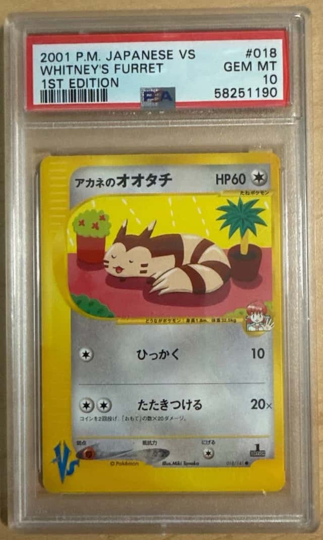 Whitney's Furret