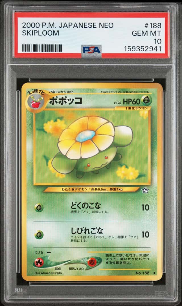 Skiploom