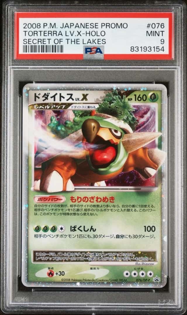 Torterra Lv X