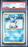 Wartortle