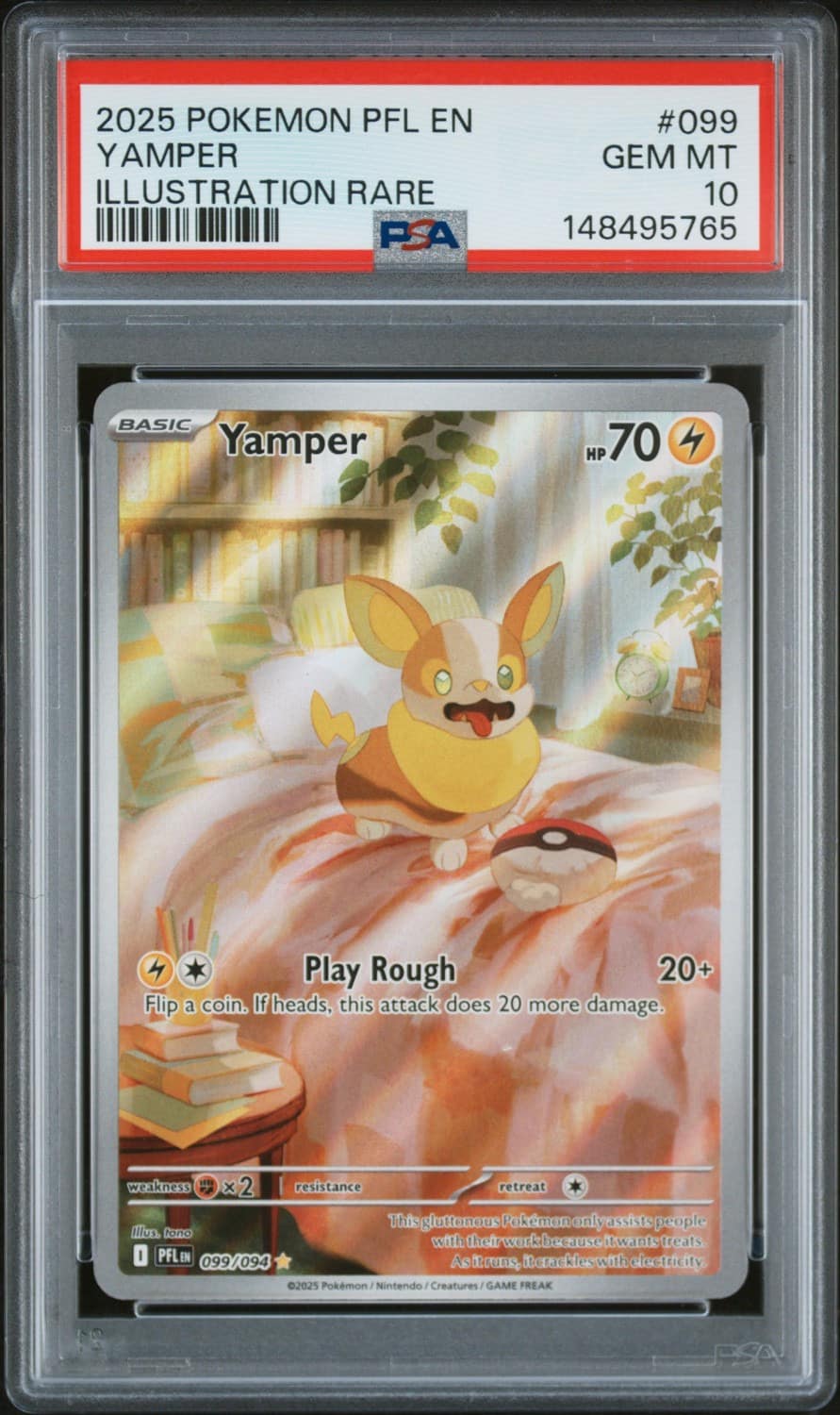 Yamper