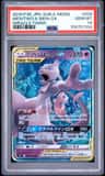 Mewtwo & Mew Gx