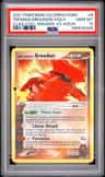 Team Magma'S Groudon