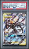 Pikachu & Zekrom Gx